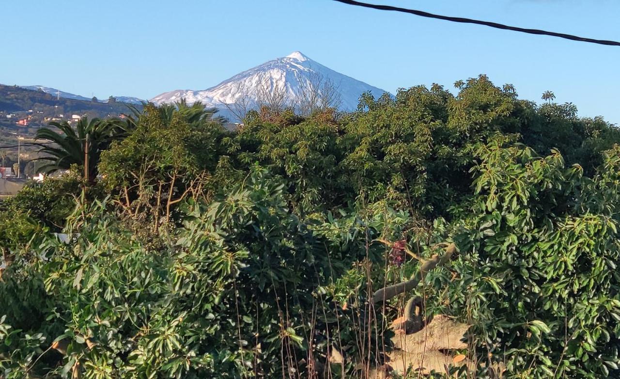 Finca El Trazo กาโกรอนเต ภายนอก รูปภาพ