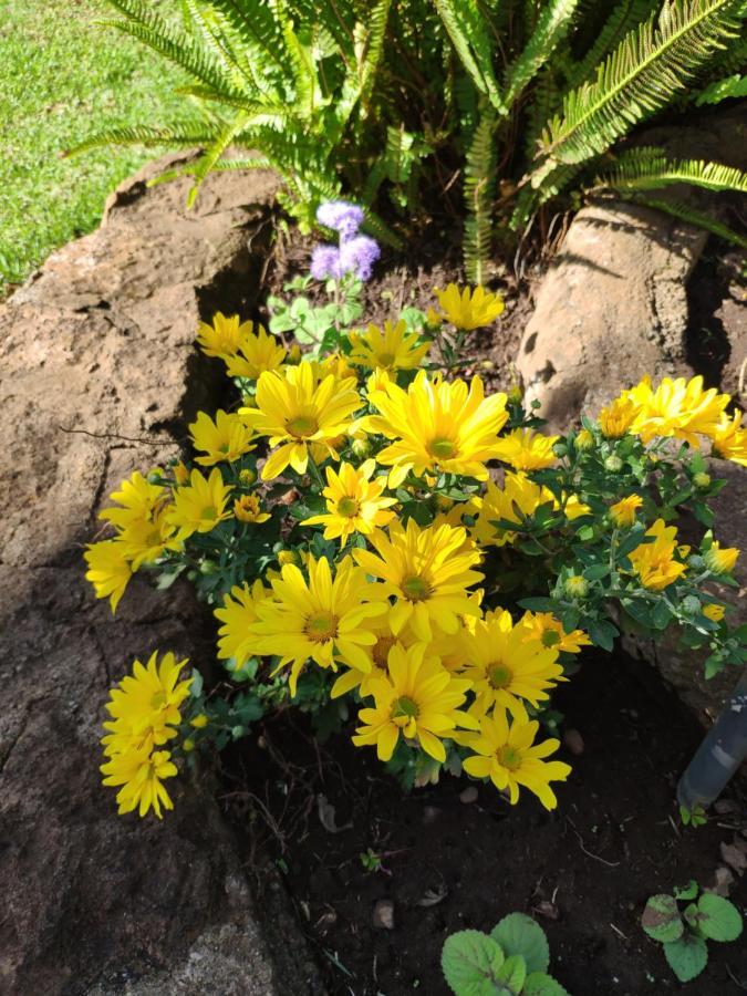 Finca El Trazo กาโกรอนเต ภายนอก รูปภาพ
