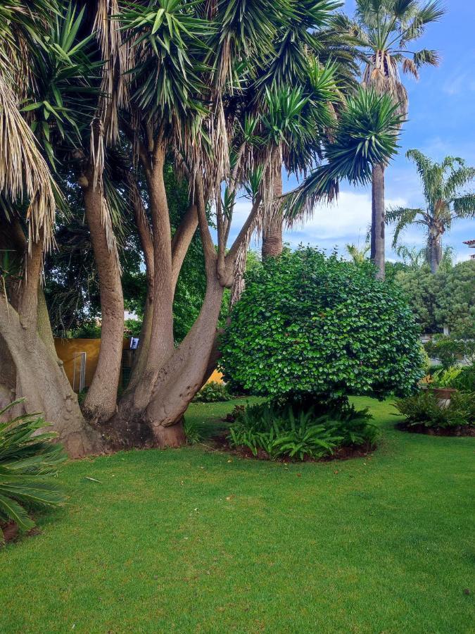 Finca El Trazo กาโกรอนเต ภายนอก รูปภาพ